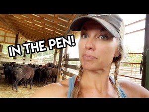 All penned up!