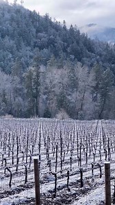 3.2K views · 90 reactions | Snowy Mornings in the Applegate❄️Read about 20 things to do in #ApplegateValley on our blog: https://visitgrantspass.com/blog/20-things-to-do-in-applegate-valley/#takeanewroute #viaitgrantspass | Visit Grants Pass | Facebook