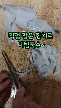 Busan Hanchi Fishing 2026 🦑 | 부산 한치낚시 채비 공개 & 직접잡은 한치 먹방