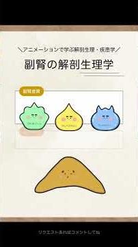 ＼クッシング症候群と副腎の関係は？／ #解剖生理学
