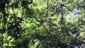 #overstimulation How overstimulation is demolishing your life  See what's going on around you, ponde