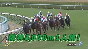 44K views · 1K reactions | 注目のレース結果やイベント情報をいち早くお届け！他では知れない競馬の裏側などもご紹介しています♪ | JRA（日本中央競馬会） | Facebook