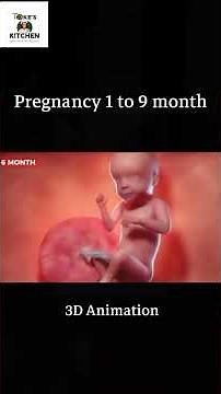Human Prenatal Development: A 3D Anatomical Visualization (1–9 Months) #pregnancy #conception3d