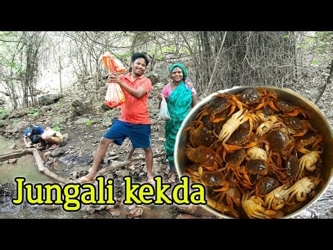 हाथ से जंगली केकड़ा पकड़ने का मजेदार तरीका | Desi Style Crab Huntunglee Crab 🦀 🦀 |