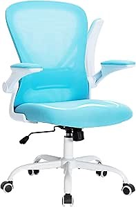 GGN Ergonomic Home Office Chair, Mid-Back Mesh Desk Chair with Flip-up Arms,Home Office Desk Chairs for Lumbar Support,Small Computer Chair for Kids Girl,Tilt Function