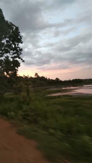 #shortvideo ♥️♥️♥️#nature #fishing #travel #lifeisbutadream #birds
