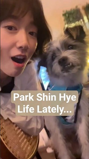 Park Shin Hye free time playing with her pet 🐕 #parkshinhye #shinhyepark #choitaejoon #freetime