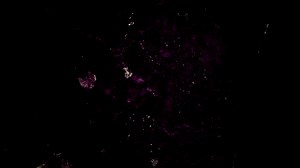 Download Grunge Overlay Transitions  for free