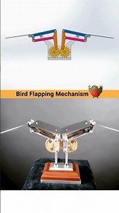 Bird Flapping Mechanism#flappingbird #flappybird #flappers #flapper #flapjack #flappy