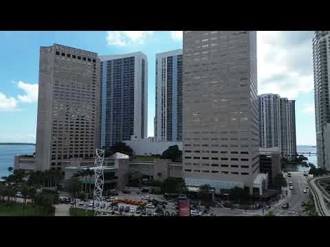 Mold Remediation Miami FL - Miami Mold Assessment & Remediation Authority