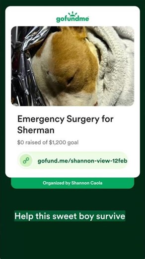 Just sharing, he needs help...