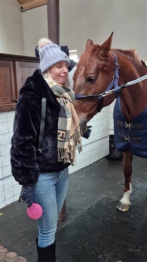 Winter photoshoot with Caplett 🤗💜❄️🐎 #winter #snow #horse #photoshoot #fyp @Andy Barisa photography @Royal Horse Resort