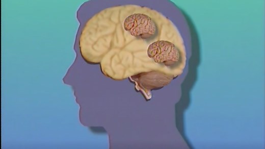 The Mind Hidden and Divided - Annenberg Learner