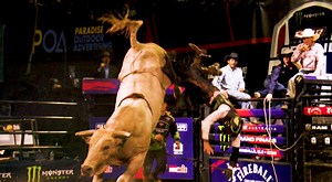 37K views |  The Ultimate Showdown is HERE!   The Monster Energy...