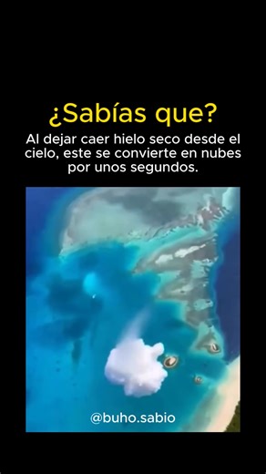 ❄️El hielo seco es dióxido de carbono ($CO_2$) en estado sólido que se encuentra a una temperatura de -78.5°C. Su característica principal es la sublimación, un proceso por el cual pasa directamente de sólido a gas sin dejar rastro de líquido. Se utiliza principalmente para refrigerar alimentos y medicinas, realizar limpiezas industriales y crear efectos de niebla, pero requiere un manejo cuidadoso con guantes y ventilación. #HieloSeco #Ciencia #Sublimacion #Quimica #EfectosEspeciales | Búho Sab