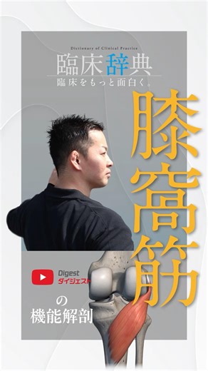 【膝の第5の主要靱帯】膝窩筋を無視して膝伸展制限は語れない
