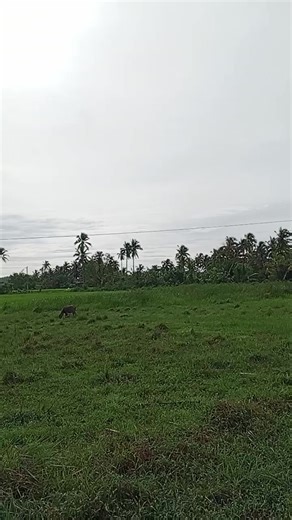 Mario Labro (@mario.labro7)’s videos with You're A Woman - Bad Boys Blue