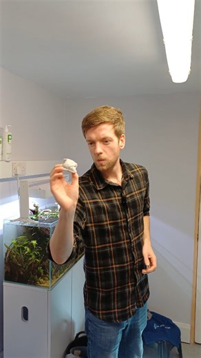 Deciding whether or not to get another tank can be difficult, so I thought I would leave it up to 'chance'... I definitely didn't give 'chance' a helping hand at all! One question remains: Which tank should I get, and what should I put in it? | AlexB Aquatics