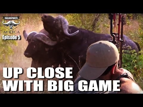 Fieldsports Africa - Up Close with Big Game