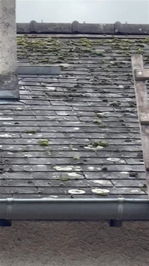 Grattage des mousses et pulvérisation d’un anti mousse avec hydrofuge incolore | JT Couverture | Facebook