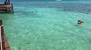 Something I like more than being in paradise is to be snorkeling in paradise! Who agrees? | Secrets Aura Cozumel
