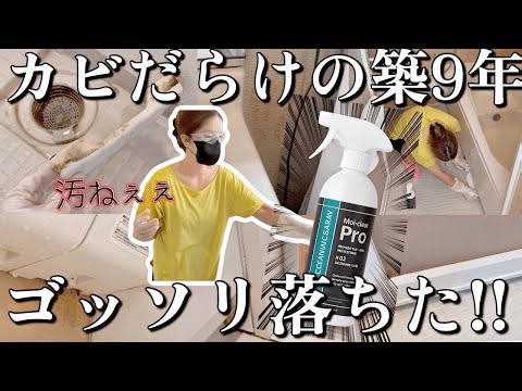 [Terrifying] Mold Hell... Breaking through the limits and resetting the whole house