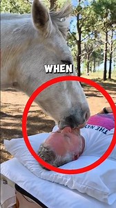 How these horses said goodbye to their grandpa 🐴❤️ #horse
