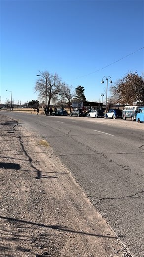 @Teddy #vwbeetle #vwlifestyle #vwlove