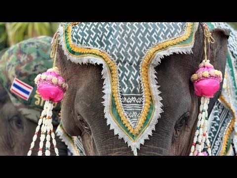 วันที่7ของงาน คนเยอะมาก❗️