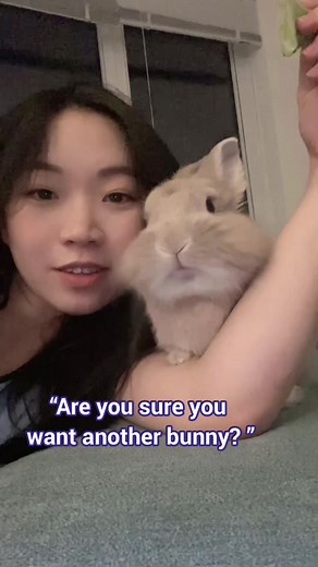 Celebrating King Bunny's Birthday with a New Furry Friend!