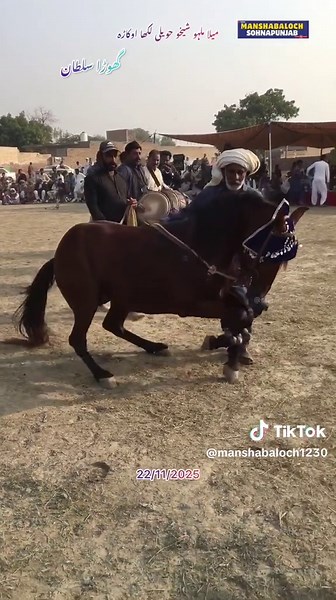 Ghora Sultan: Enchanting Horse Dance at Mela Malho