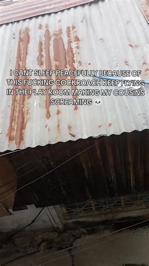 TikTok · (｡•̀ᴗ-)✧