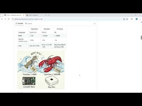 #PicoClaw The Ultra-Lightweight AI Assistant Built in Go 🚀