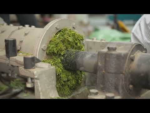 DELI CTC Tea HRS Gyrovane Rotorvane Tea Machine Manufacturer DL-6CRQ-20Z