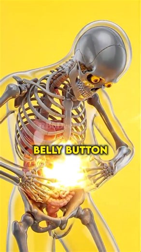 This Is Why Your Belly Button Smells