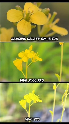 Vivo V70 Vs Samsung Galaxy S26 Ultra vs Vivo X300 Pro Photography Test Camera Testing Zoom review