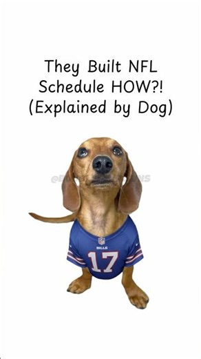 They Built NFL Schedule HOW?! (Explained by Dog) #NFL #dog #football