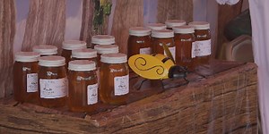 The Breathitt County Honey Festival is back in full swing this year