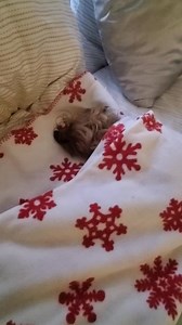 161K views · 6.1K reactions | Classic Eddie Saturday | Eddie on Wheels | Facebook