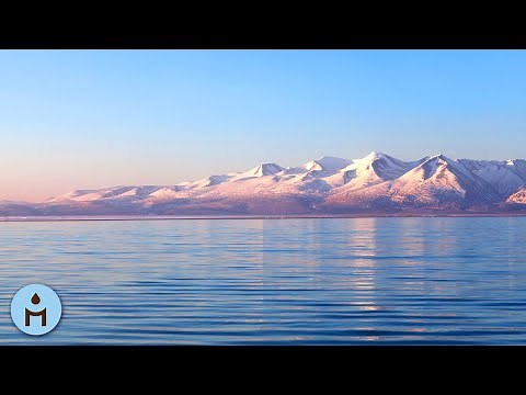 20 MINUTI Musica per Meditazione: Per Benessere, Rilassamento e Buona Notte