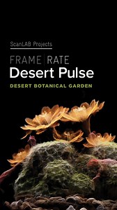 The desert is alive this fall at FRAMERATE: Desert Pulse by artists @scanlab_projects. Five monumental video installations and a multi-sensory experience are waiting for you Oct. 11 – May 10. Garden members, grab your tickets starting Aug. 5 at desertpulse.org . . #desertbotanicalgarden #dbgphx #desertpulse #frameratedesertpulse #scanlabprojects #3dscanning # #artexhibit #phoenix #arizona | Desert Botanical Garden