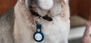 Apples AirTag: Das alles kann das neue Gerät