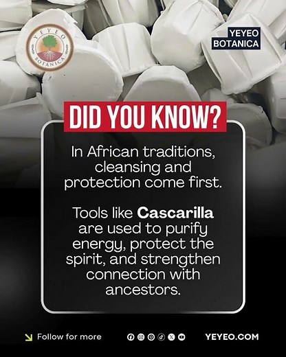 The Power of Cascarilla Explained