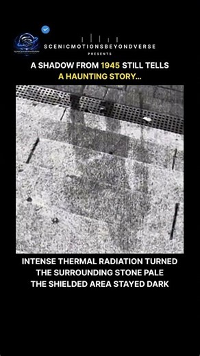 Hiroshima’s Atomic Bomb Left a Shadow Etched in Stone 🕊️