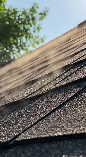 Explore the everyday elements that affect how a home solar system performs. Learn how roof orientation, sunlight exposure, equipment type, and energy usage patterns shape overall efficiency and long-term value. | Ada Grey