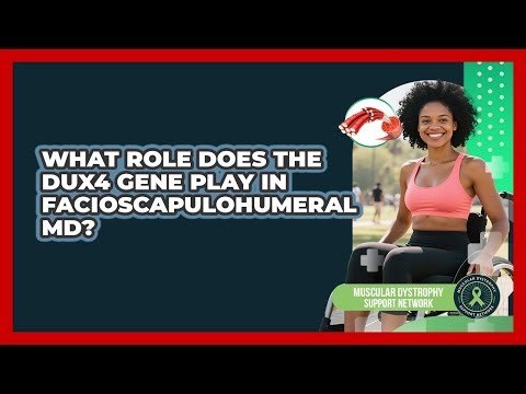 What Role Does The DUX4 Gene Play In Facioscapulohumeral MD? - Muscular Dystrophy Support Network