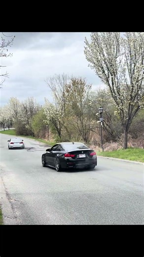 4 beamers #bmwm3 #bmw #carspotting #carguys #bmwm4 #carmeet #fypシ゚viral