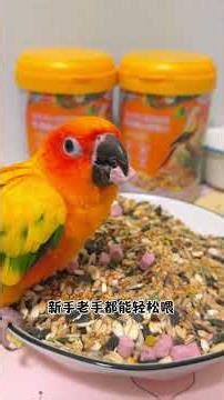 Save Your Parrots: Essential Tips for Raising Small to Medium Birds