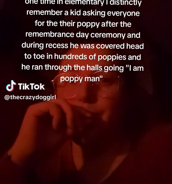 This memory lives in my head rent free tbh #poppy #remembranceday #darkhumor #fyp