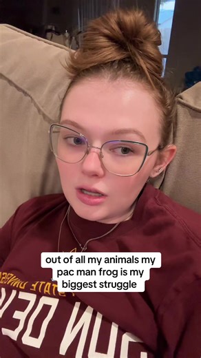 my dad even asked if i had a dwarf because hes SO SMALL UAGHSSG “easiest” frog my a$$ #pacmanfrog